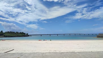 ACTIVITY MIYKOJIMA DOSUに投稿された画像（2023/10/11）