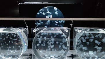 AOAO SAPPOROに投稿された画像（2023/10/11）