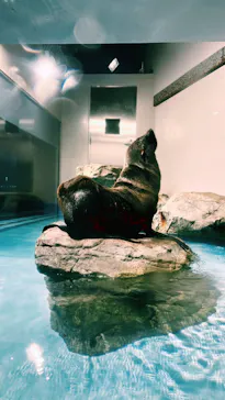 マクセル アクアパーク品川に投稿された画像（2023/10/11）