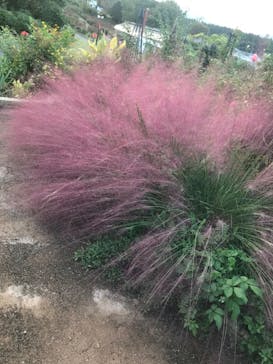 いばらきフラワーパークに投稿された画像（2023/10/11）