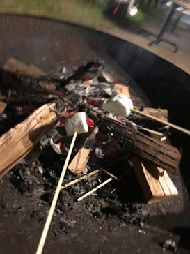 いばらきフラワーパークに投稿された画像（2023/10/11）