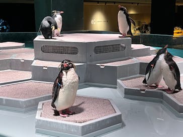 AOAO SAPPOROに投稿された画像（2023/10/11）