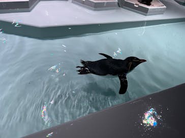 AOAO SAPPOROに投稿された画像（2023/10/11）