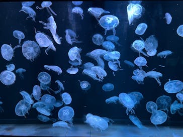 AOAO SAPPOROに投稿された画像（2023/10/11）