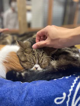 神戸どうぶつ王国に投稿された画像（2023/10/11）