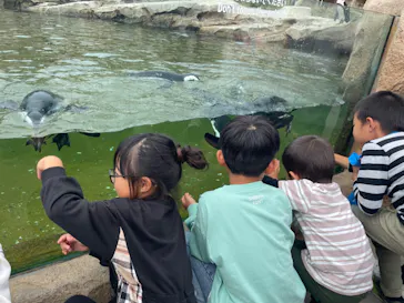 神戸どうぶつ王国に投稿された画像（2023/10/11）