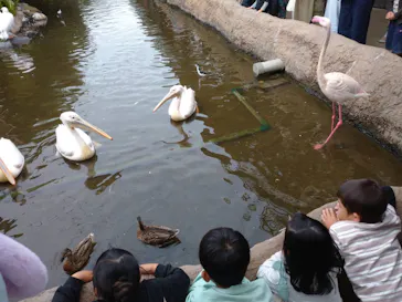 神戸どうぶつ王国に投稿された画像（2023/10/11）