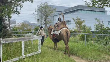 神戸どうぶつ王国に投稿された画像（2023/10/11）