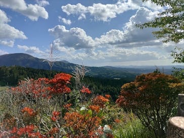 あぶくま洞に投稿された画像（2023/10/11）