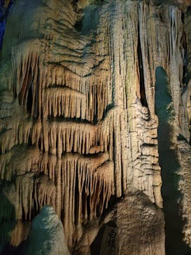 あぶくま洞に投稿された画像（2023/10/11）