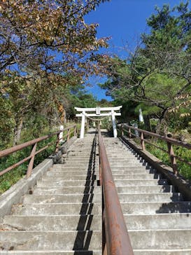 あぶくま洞に投稿された画像（2023/10/11）