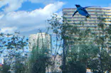 サンシャイン水族館に投稿された画像（2023/10/11）