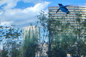 サンシャイン水族館に投稿された画像（2023/10/11）