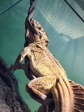 サンシャイン水族館に投稿された画像（2023/10/11）