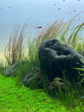 AOAO SAPPOROに投稿された画像（2023/10/12）