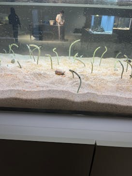 AOAO SAPPOROに投稿された画像（2023/10/12）