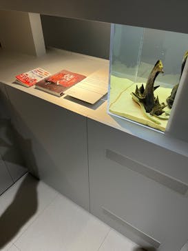 AOAO SAPPOROに投稿された画像（2023/10/12）