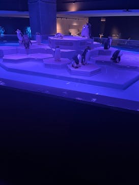 AOAO SAPPOROに投稿された画像（2023/10/12）