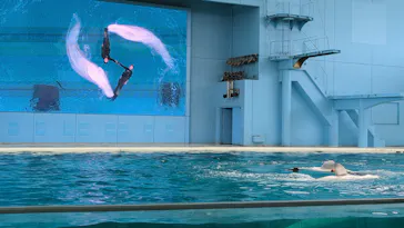 横浜・八景島シーパラダイスに投稿された画像（2023/10/12）