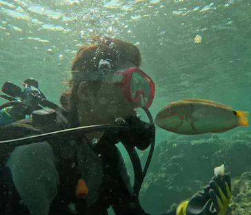 武藤潜水に投稿された画像（2023/10/12）