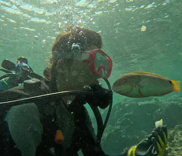 武藤潜水に投稿された画像（2023/10/12）