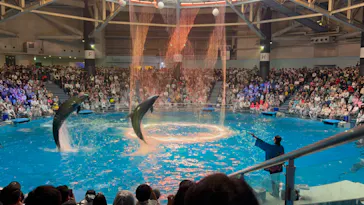 マクセル アクアパーク品川に投稿された画像（2023/10/12）