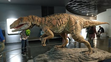 福井県立恐竜博物館に投稿された画像（2023/10/12）