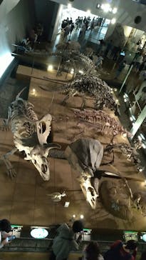 福井県立恐竜博物館に投稿された画像（2023/10/12）