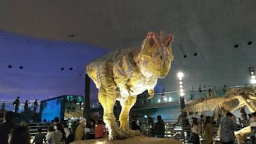 福井県立恐竜博物館に投稿された画像（2023/10/12）
