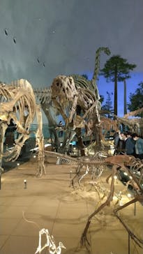 福井県立恐竜博物館に投稿された画像（2023/10/12）