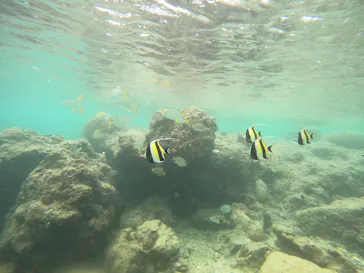 武藤潜水に投稿された画像（2023/10/12）