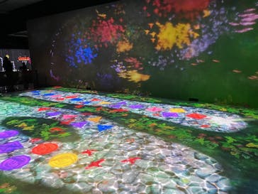 チームラボに投稿された画像（2023/10/12）