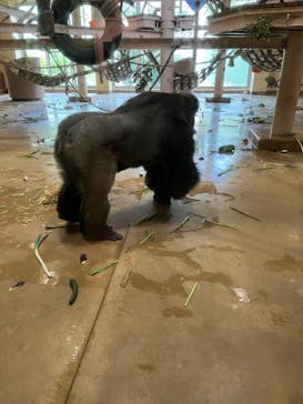 名古屋市東山動植物園に投稿された画像（2023/10/12）