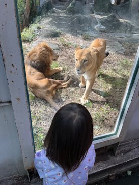 名古屋市東山動植物園に投稿された画像（2023/10/12）