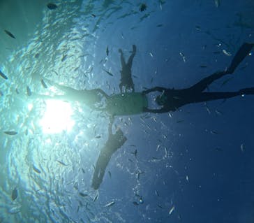 青の洞窟専門店　沖縄ダイビングショップ和に投稿された画像（2023/10/12）