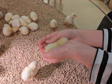 Moff animal cafe イオンモール幕張新都心店に投稿された画像（2023/10/12）