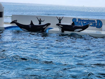 鴨川シーワールドに投稿された画像（2023/10/12）