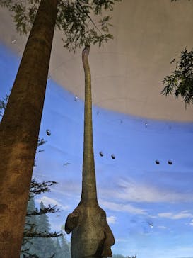 福井県立恐竜博物館に投稿された画像（2023/10/12）