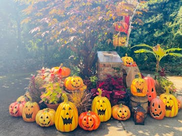 横浜イングリッシュガーデンに投稿された画像（2023/10/12）