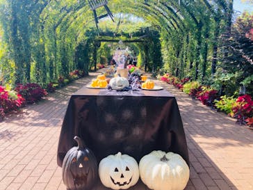 横浜イングリッシュガーデンに投稿された画像（2023/10/12）