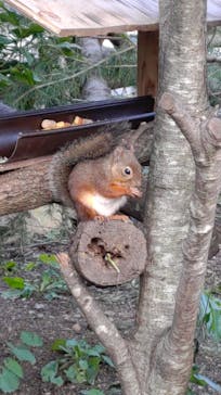 那須どうぶつ王国に投稿された画像（2023/10/12）