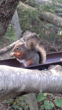 那須どうぶつ王国に投稿された画像（2023/10/12）