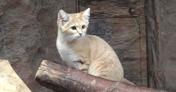 那須どうぶつ王国に投稿された画像（2023/10/12）