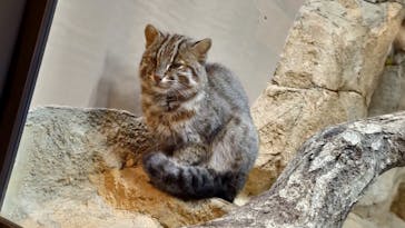 那須どうぶつ王国に投稿された画像（2023/10/12）