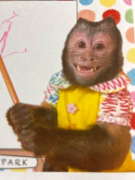 那須ワールドモンキーパークに投稿された画像（2023/10/12）