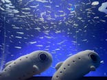 新江ノ島水族館に投稿された画像（2023/10/12）