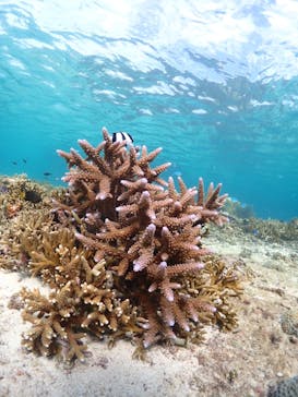 CHAMP TOUR　宮古島に投稿された画像（2023/10/12）