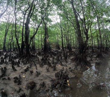 西表島 ADVENTURE PiPi（アドベンチャーピピ）に投稿された画像（2023/10/12）