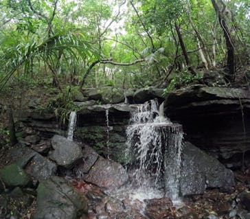 西表島 ADVENTURE PiPi（アドベンチャーピピ）に投稿された画像（2023/10/12）