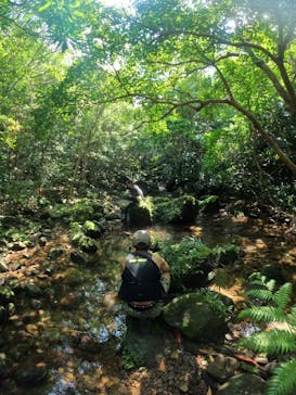 西表島 ADVENTURE PiPi（アドベンチャーピピ）に投稿された画像（2023/10/12）